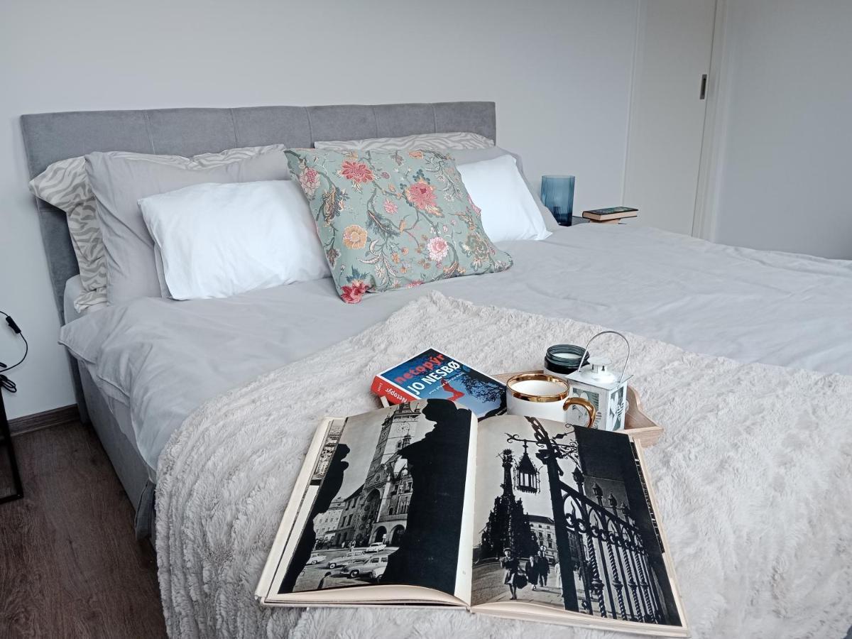 J&Z Apartman Оломоуц Экстерьер фото
